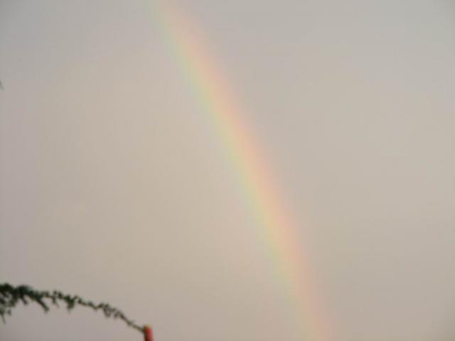 DSCF0239.JPG