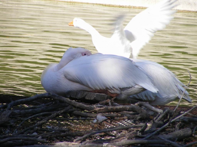 DSCF0841.JPG