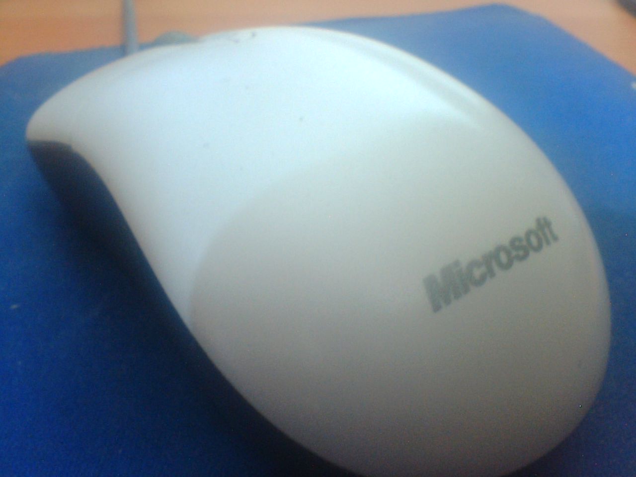 photo00001.JPG