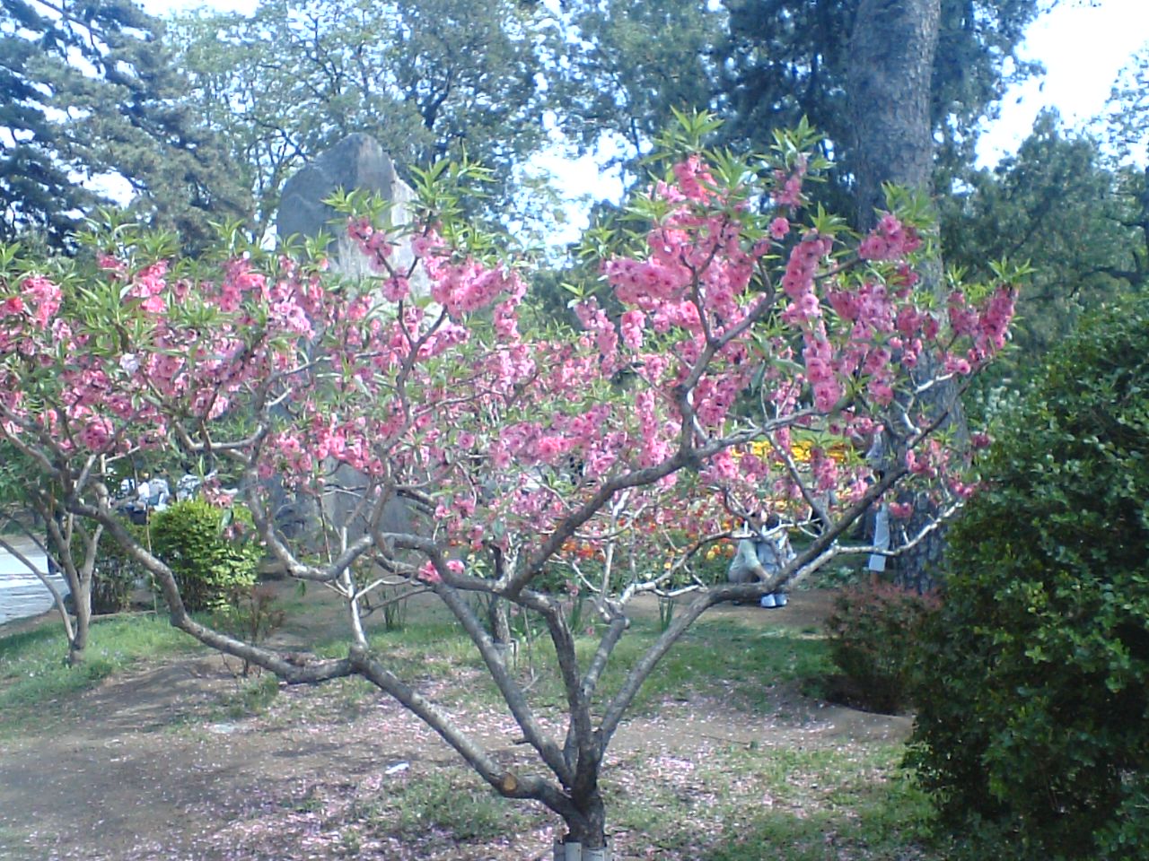 photo00221.JPG