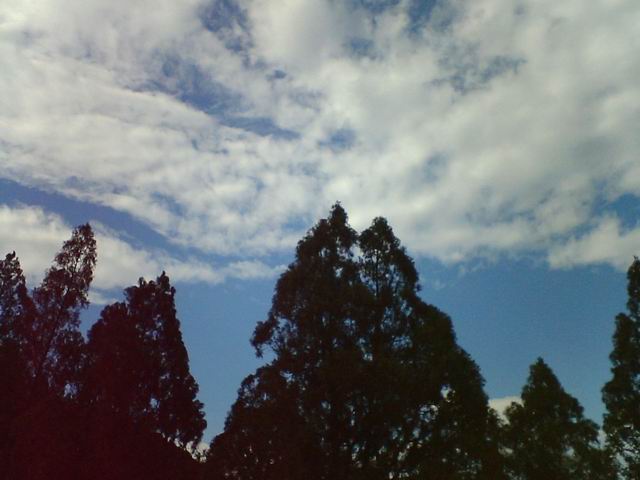 С photo00035.JPG