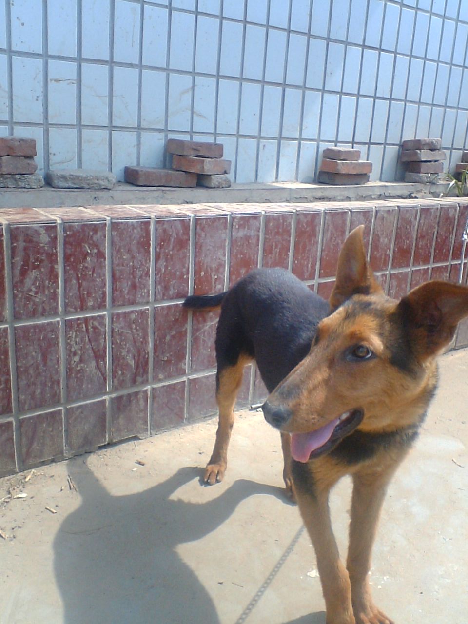 ת photo00054.JPG