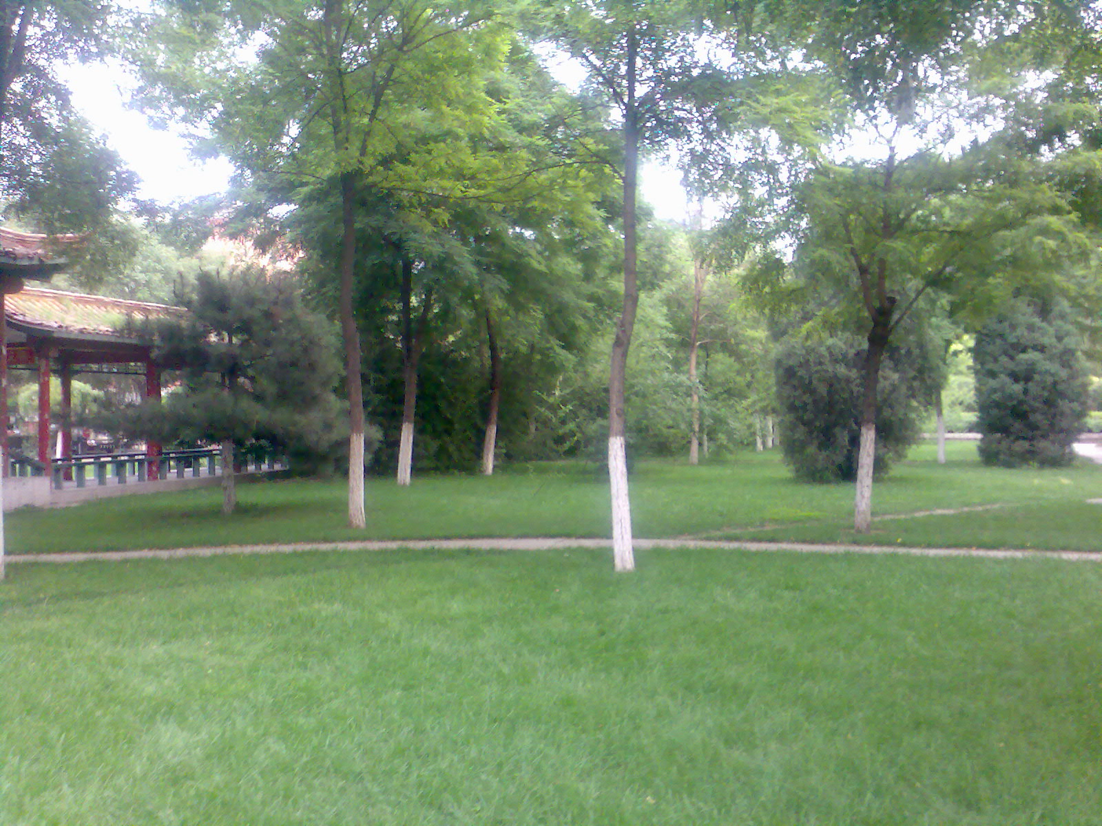 01.jpg