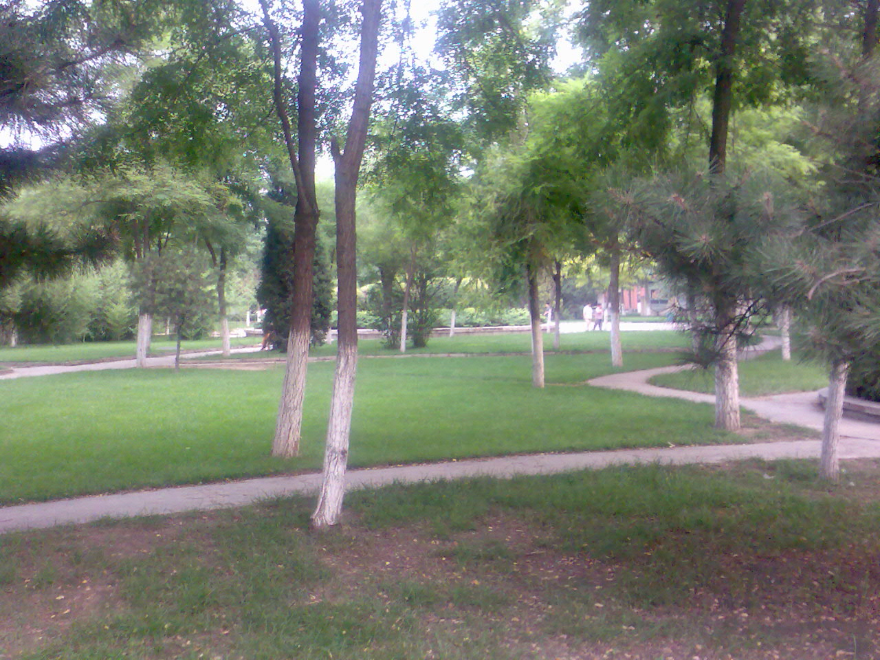 02.jpg