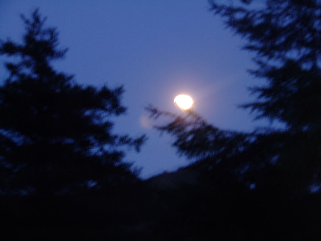 DSCF00801.JPG