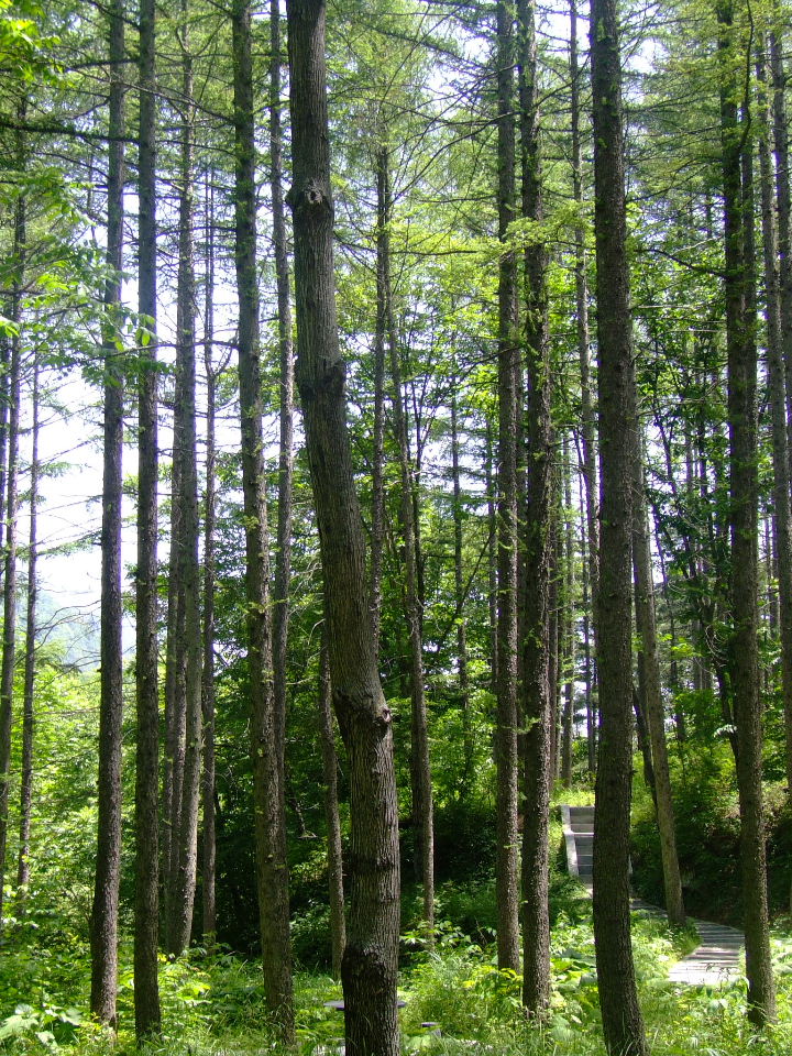 DSCF01281.JPG