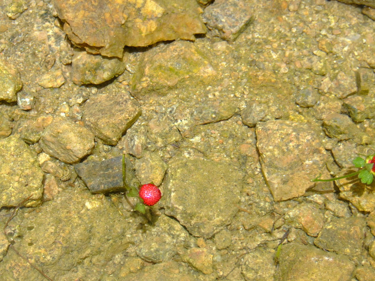 DSCF01301.JPG