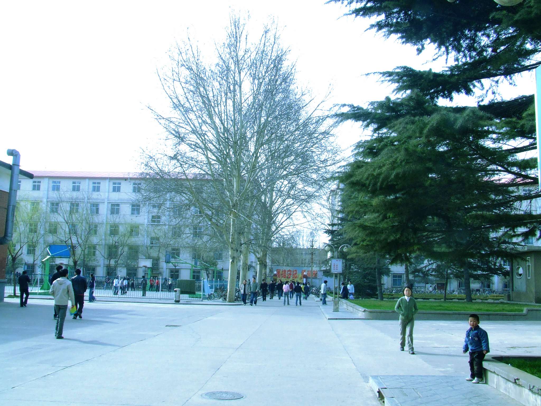 DSCF1372.jpg