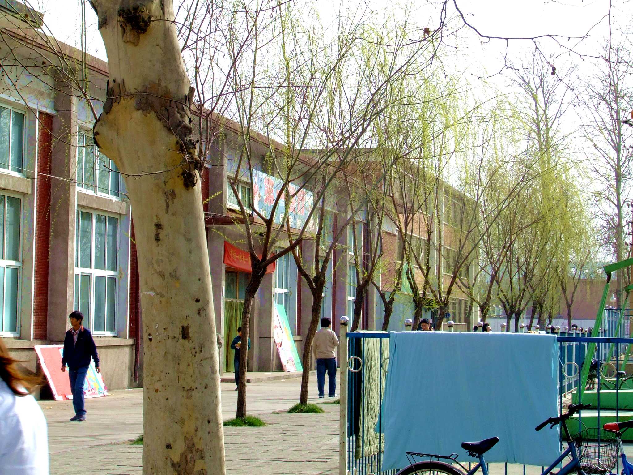 DSCF1374.jpg