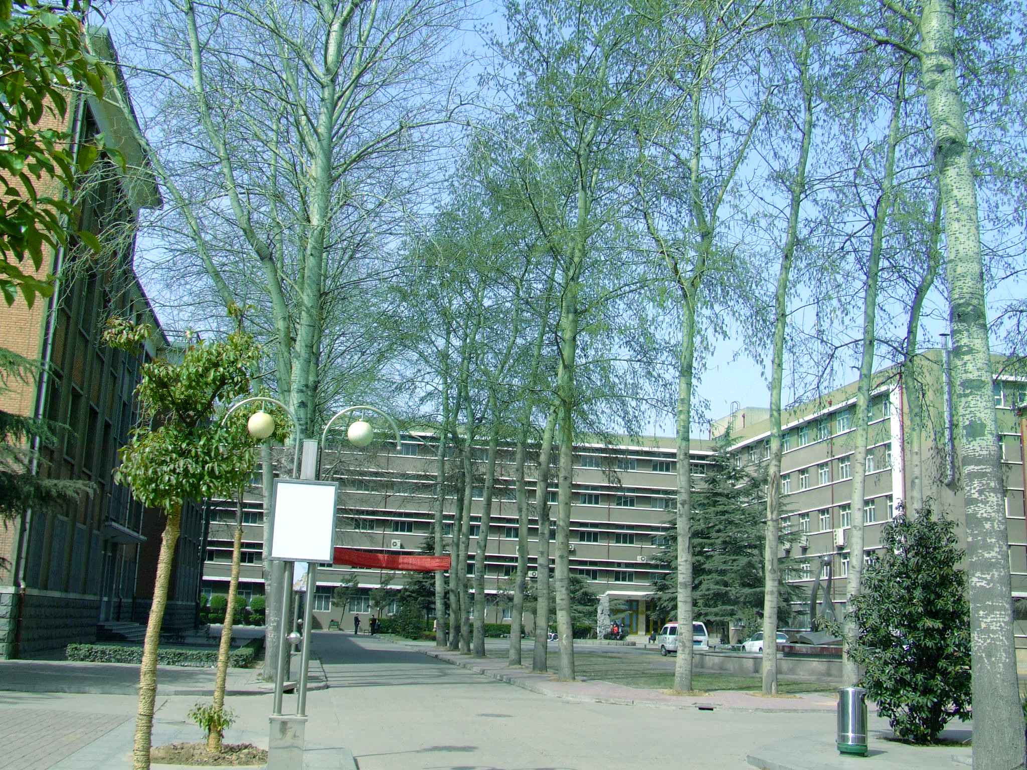 DSCF1390.jpg