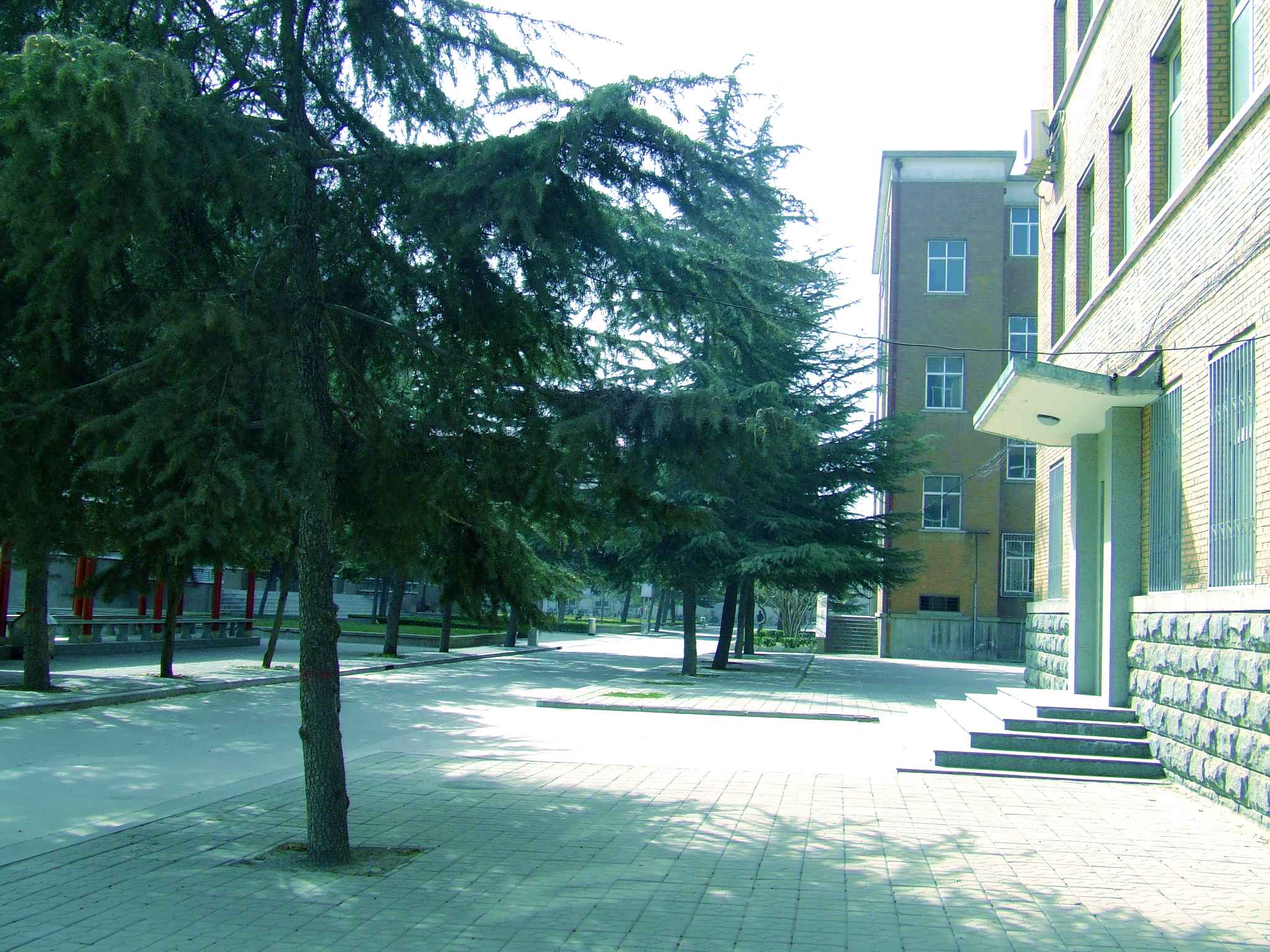 DSCF1393.jpg