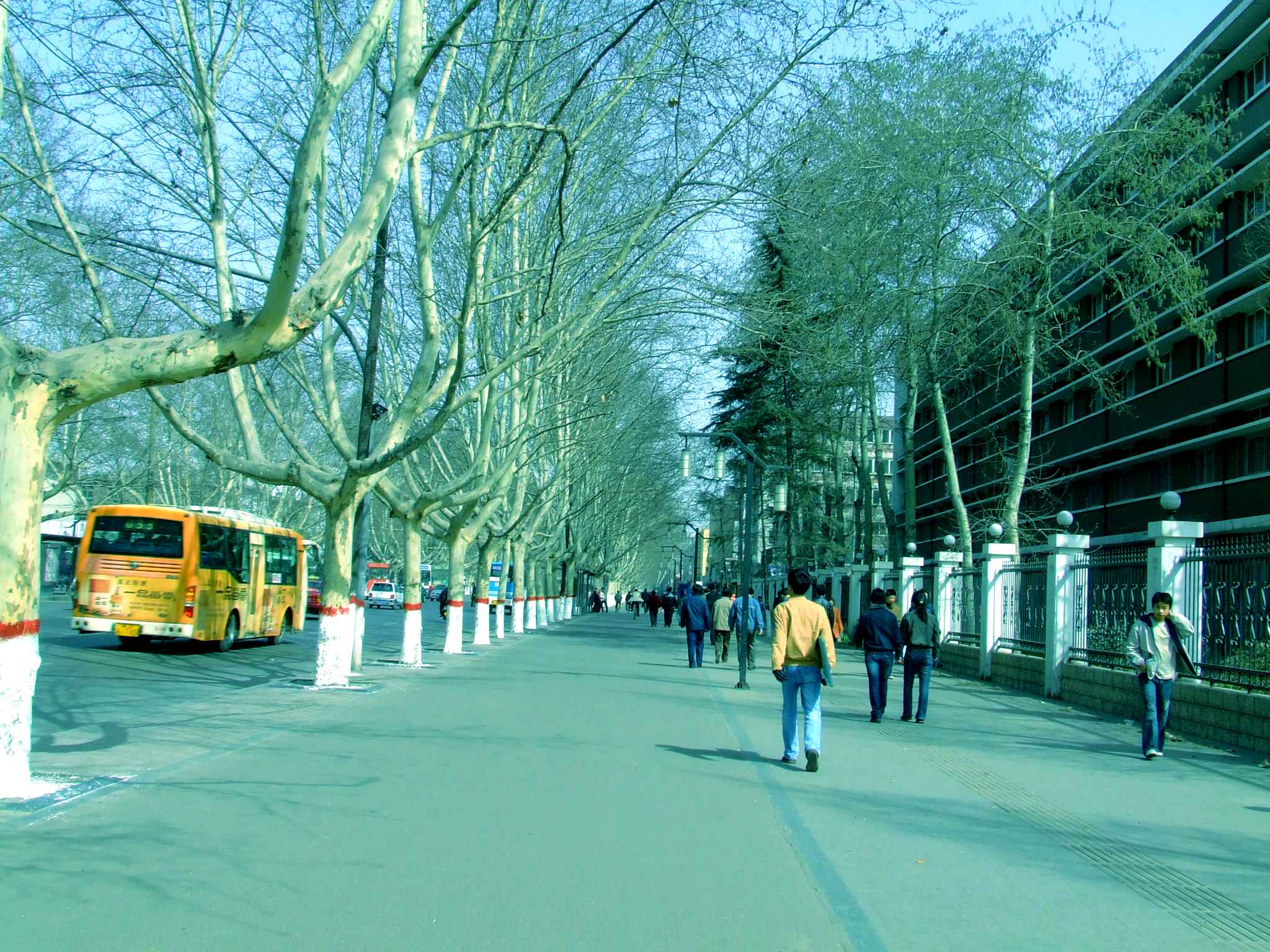 DSCF1399.jpg