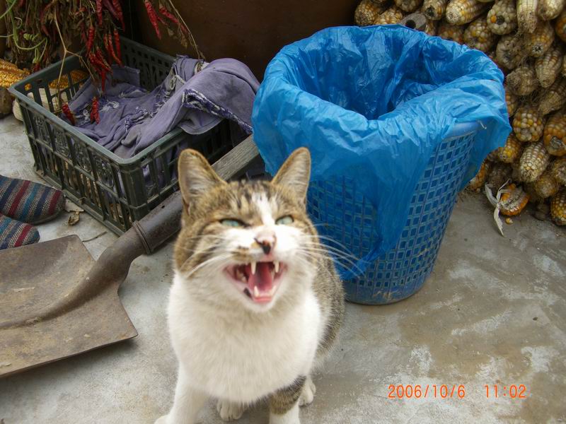 CIMG0295.JPG