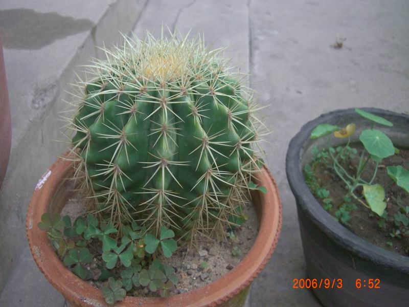 CIMG0005.JPG