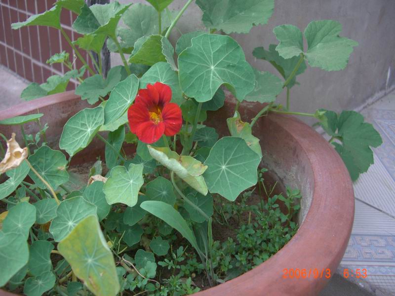 CIMG0006.JPG