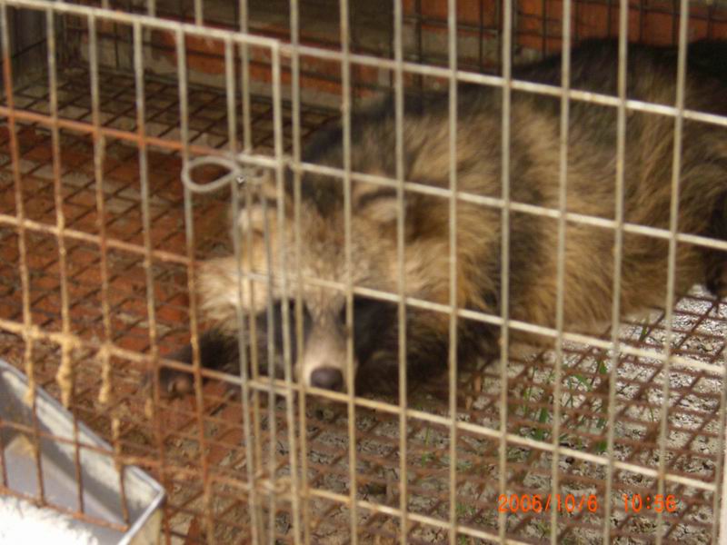 CIMG0270.JPG