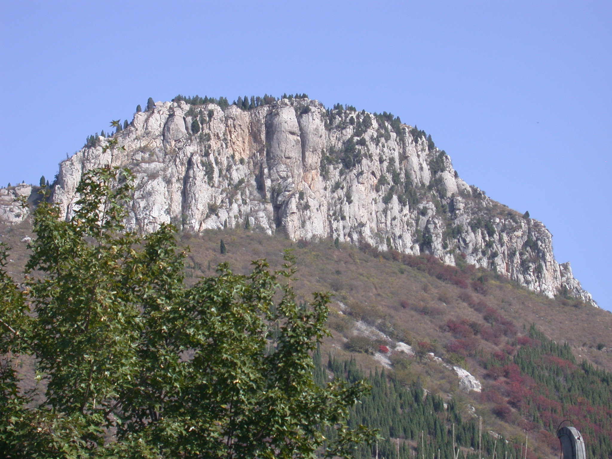DSCN7569.JPG