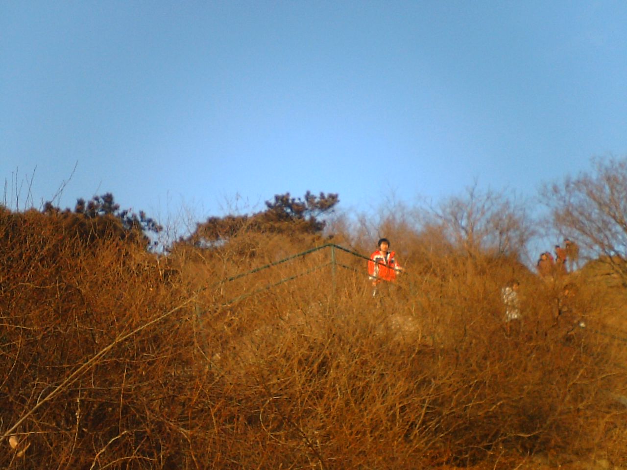 photo00002.JPG