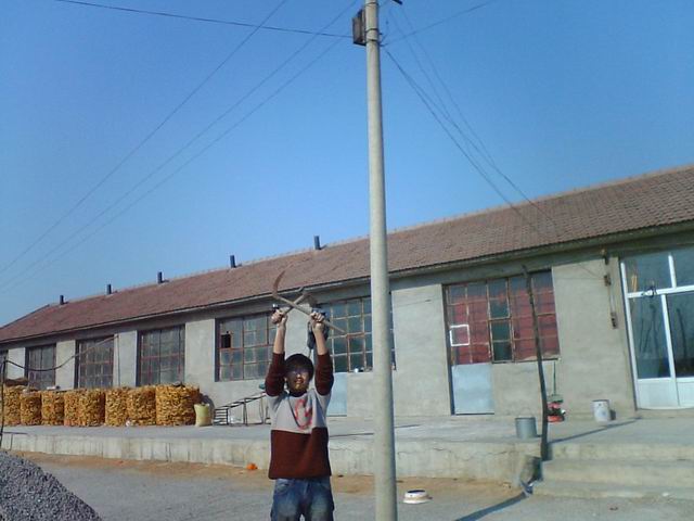 С photo00029.JPG