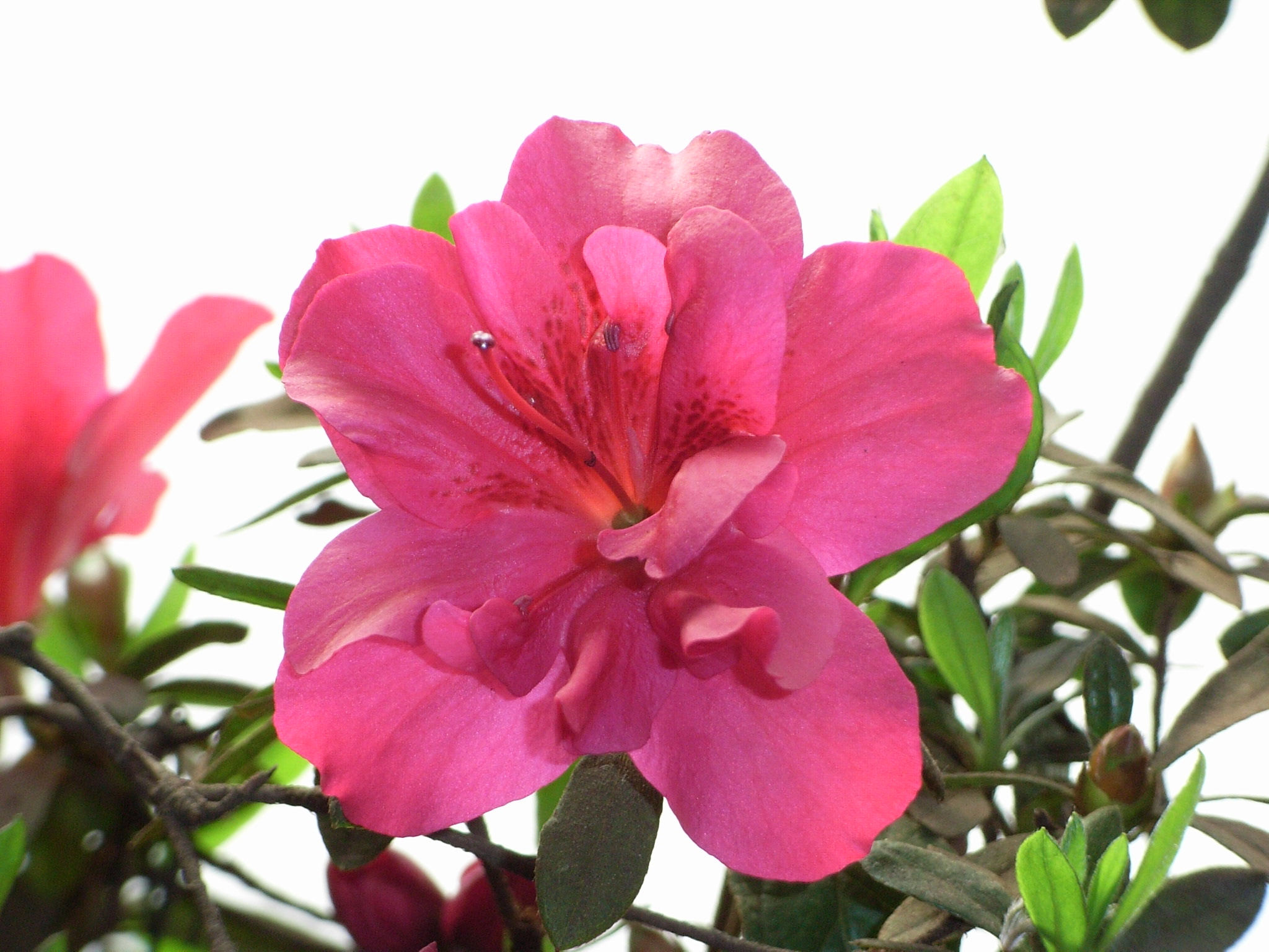 RIMG0092.JPG