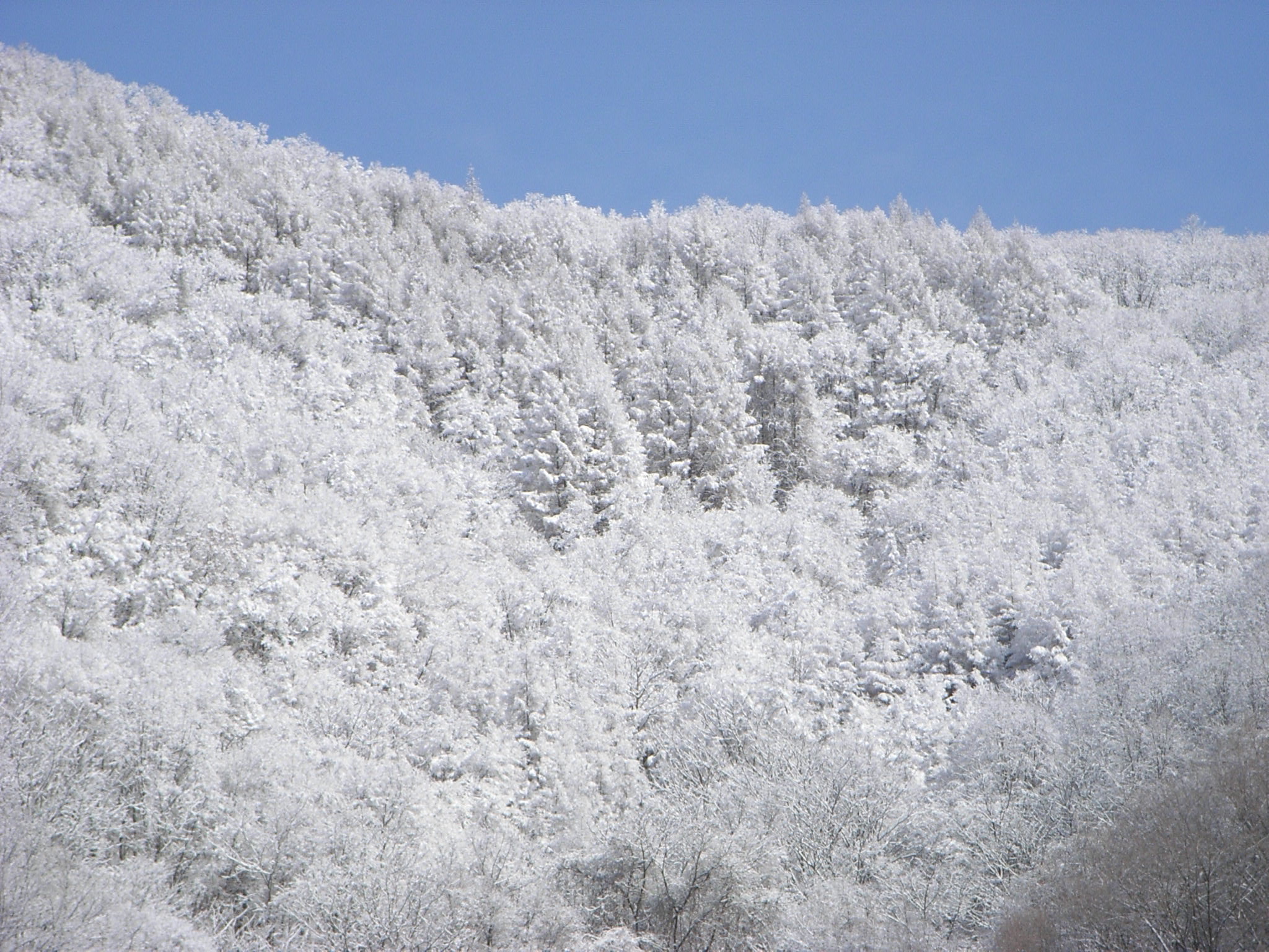 RIMG0110.JPG
