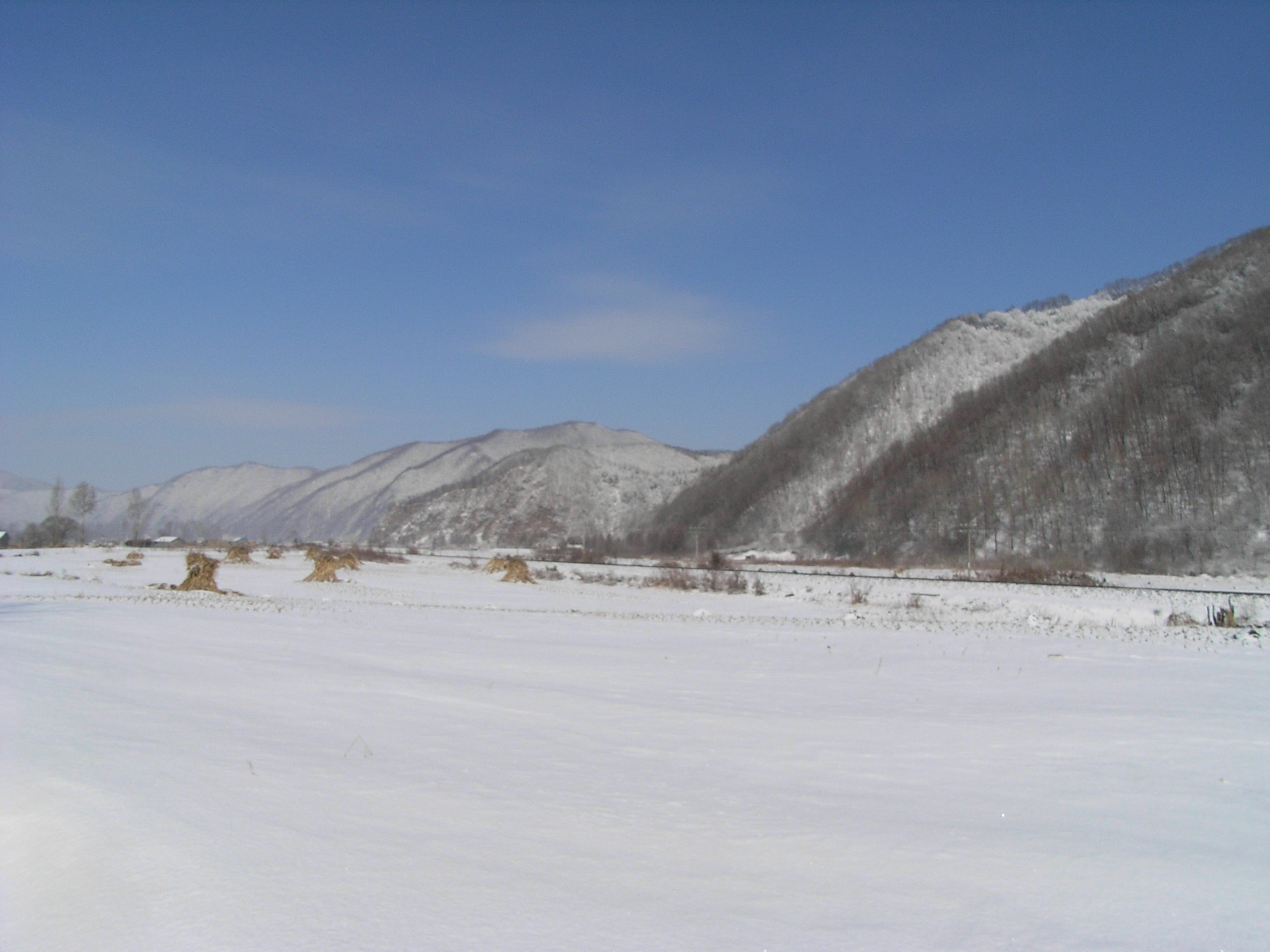 RIMG0100.JPG
