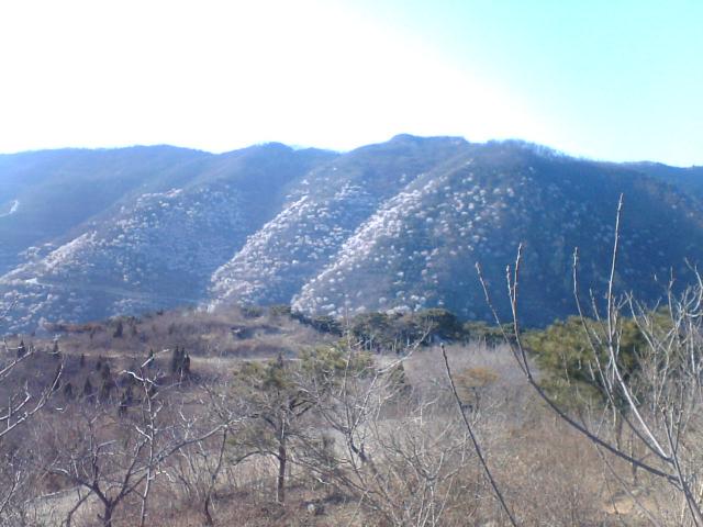 photo00045.JPG