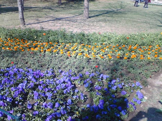 photo00042.JPG