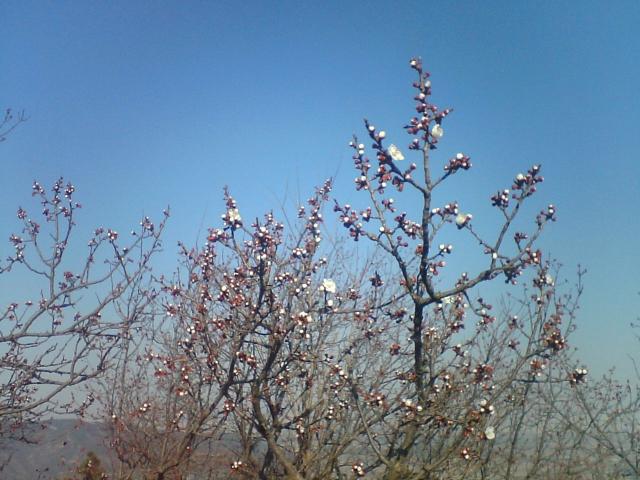 photo00044.JPG
