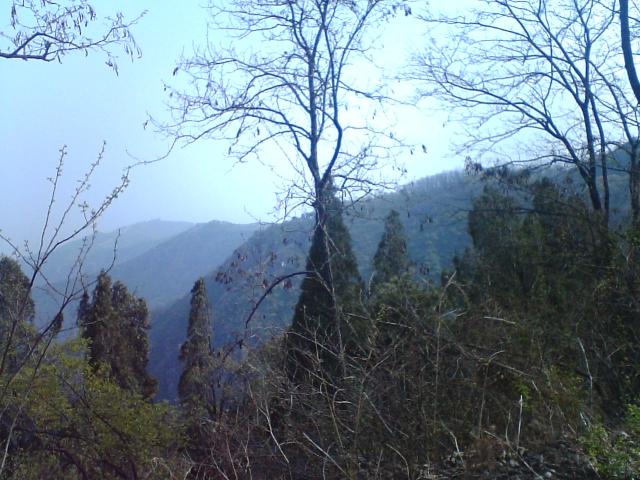 photo00055.JPG