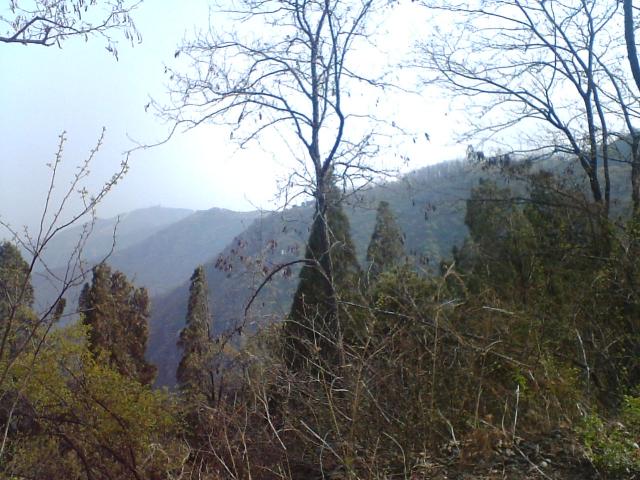 photo00056.JPG