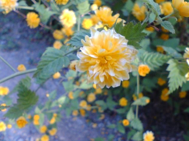 photo00069.JPG