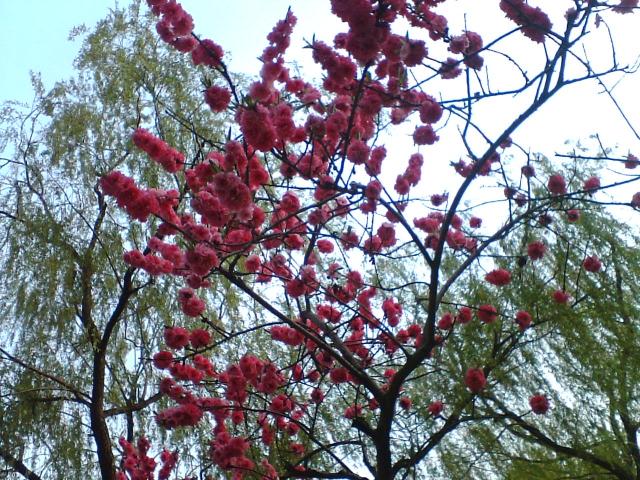 photo00070.JPG