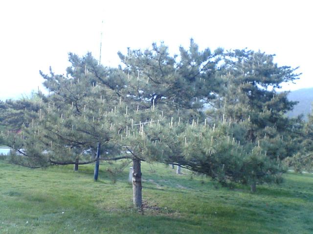 photo00073.JPG