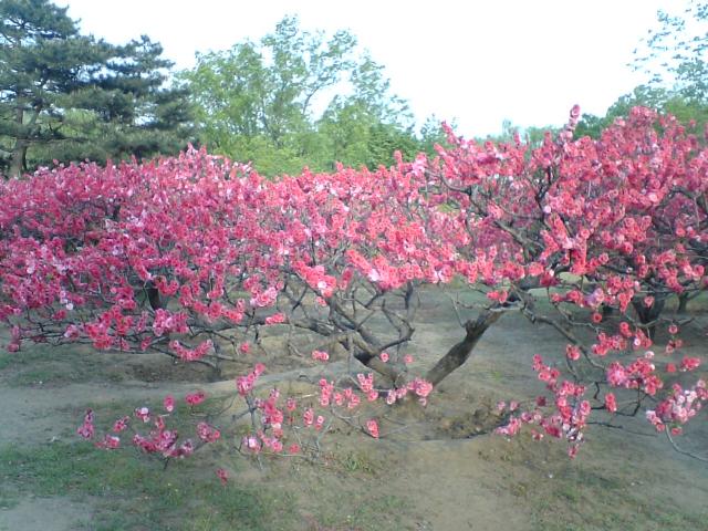 photo00074.JPG