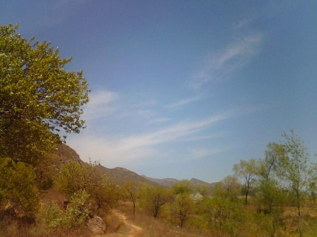 photo00093.JPG