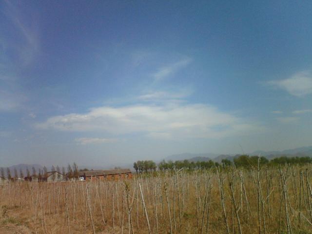 photo00110.JPG