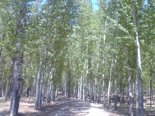 photo00083.JPG