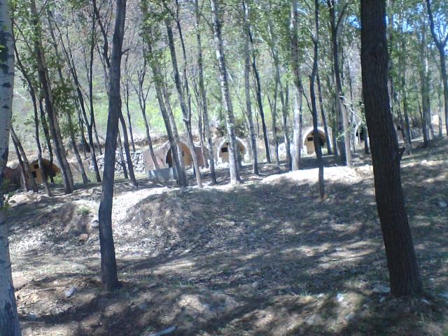 photo00089.JPG